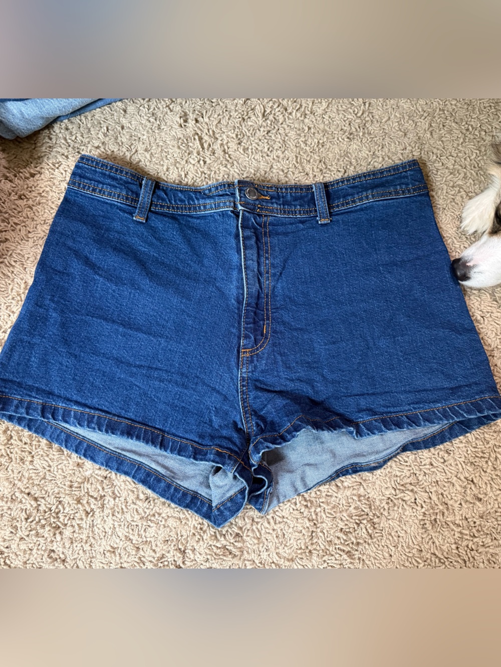 Universal Thread Dark Blue High-Rise Denim Shorts